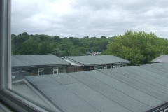 DSCF7520