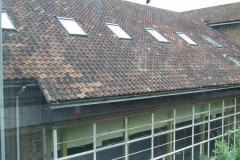 DSCF7523