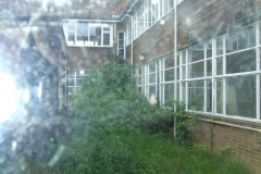 DSCF7555
