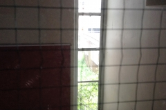 IMG_3209 (2)