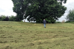 IMG_3248 (2)